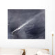 Plume Ash Steam and Wall Decal