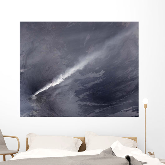 Plume Ash Steam and Wall Decal