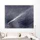 Plume Ash Steam and Wall Decal