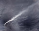 Plume Ash Steam and Wall Decal