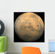 Global Mosaic Mars Wall Decal
