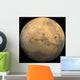 Global Mosaic Mars Wall Decal
