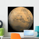 Global Mosaic Mars Wall Decal