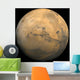 Global Mosaic Mars Wall Decal
