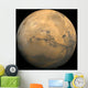 Global Mosaic Mars Wall Decal