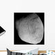 Comet Tempel 1 Wall Decal Design 2