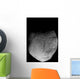 Comet Tempel 1 Wall Decal Design 1