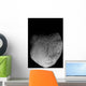 Comet Tempel 1 Wall Decal Design 1