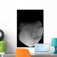 Comet Tempel 1 Wall Decal Design 1