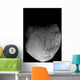 Comet Tempel 1 Wall Decal Design 1