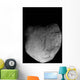 Comet Tempel 1 Wall Decal Design 1