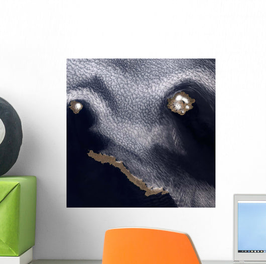 Satellite Image Semisopochnoi Island Wall Decal