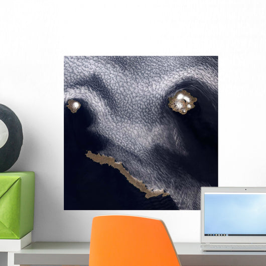 Satellite Image Semisopochnoi Island Wall Decal