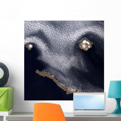 Satellite Image Semisopochnoi Island Wall Decal shown on a wall