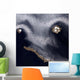 Satellite Image Semisopochnoi Island Wall Decal