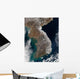 Satellite Snowfall along South Wall Decal