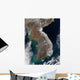 Satellite Snowfall along South Wall Decal