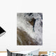 Satellite Snow and Cold Wall Decal