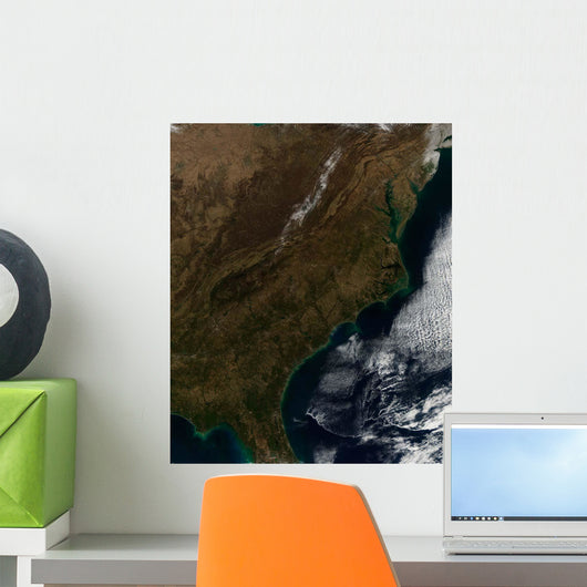 Satellite Southeastern United States Wall Decal Design 1