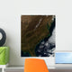 Satellite Southeastern United States Wall Decal Design 1