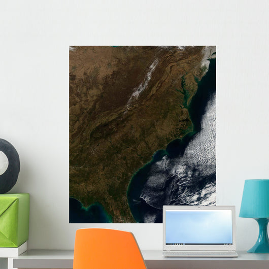 Satellite Southeastern United States Wall Decal Design 1