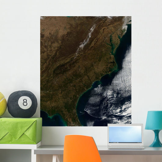 Satellite Southeastern United States Wall Decal Design 1
