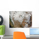 Satellite Western United States Wall Decal