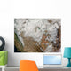 Satellite Western United States Wall Decal
