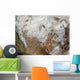 Satellite Western United States Wall Decal