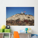 Robonaut 2 Poses atop Wall Decal Design 1