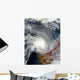 Tropical Cyclone Carlos Wall Decal