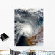 Tropical Cyclone Carlos Wall Decal