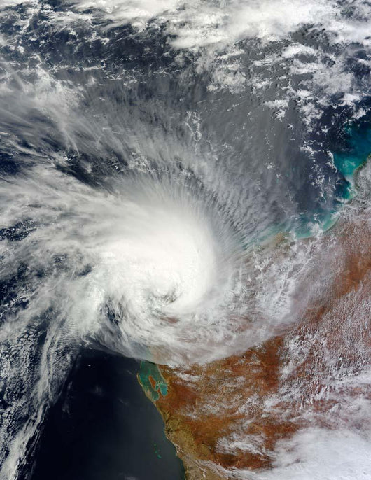Tropical Cyclone Carlos Wall Decal