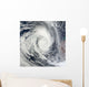 Tropical Cyclone Dianne Wall Decal Design 2
