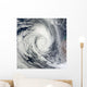 Tropical Cyclone Dianne Wall Decal Design 2