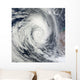Tropical Cyclone Dianne Wall Decal Design 2