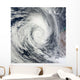 Tropical Cyclone Dianne Wall Decal Design 2