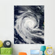 Tropical Cyclone Dianne Wall Decal Design 1