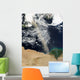 Dust Plume Stretches across Wall Decal