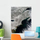 Satellite Snow Northeastern United Wall Decal