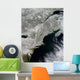 Satellite Snow Northeastern United Wall Decal