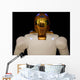 Robonaut 2 Dexterous Humanoid Wall Decal Design 1