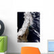 Satellite Northeast Japan Wall Decal