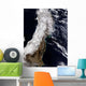 Satellite Northeast Japan Wall Decal