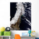 Satellite Northeast Japan Wall Decal