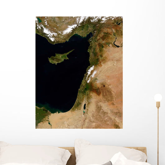 Satellite Snow Lebanon Wall Decal