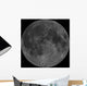 Mosaic Lunar Nearside Wall Decal