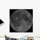 Mosaic Lunar Nearside Wall Decal