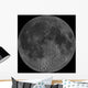 Mosaic Lunar Nearside Wall Decal