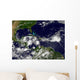 Hurricane Alex Develops Western Wall Decal